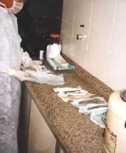 enpacota.jpg (70550 bytes)