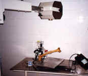 osanet_4.jpg (50739 bytes)